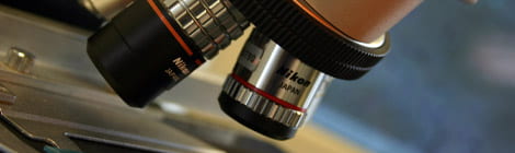 Close-up image of microscope.