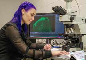 Palmer of Chiropractic College student reviewing book near a microscope.