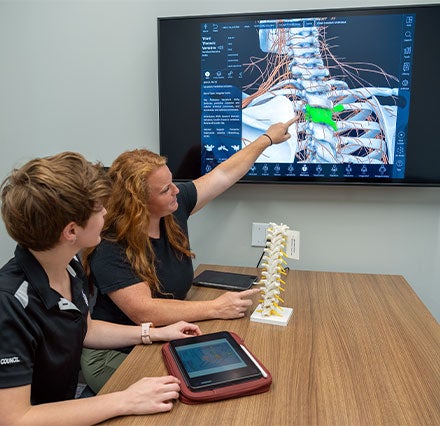 Two chiropractic students studying anatomy