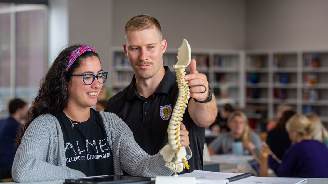 Two chiropractic students studying a bone model