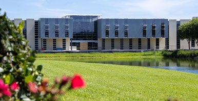 large building and pond behind flowers