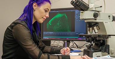 Chiropractic research student at a microscope.