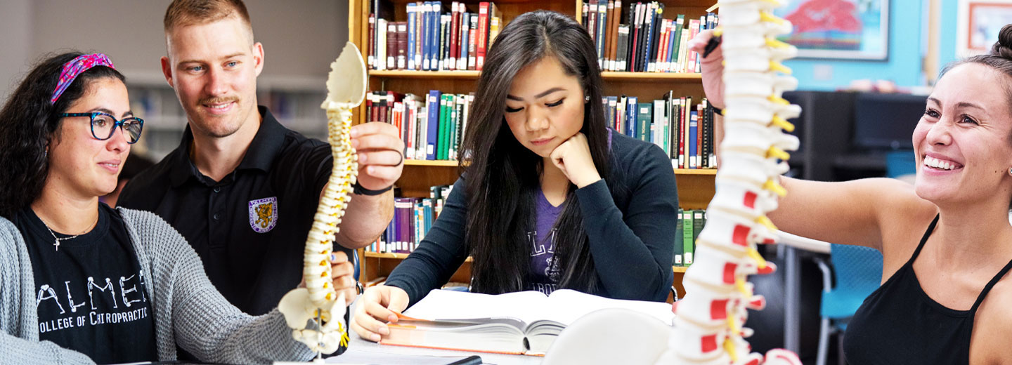 Collage of students studying in the David D. Palmer Health Sciences Library.
