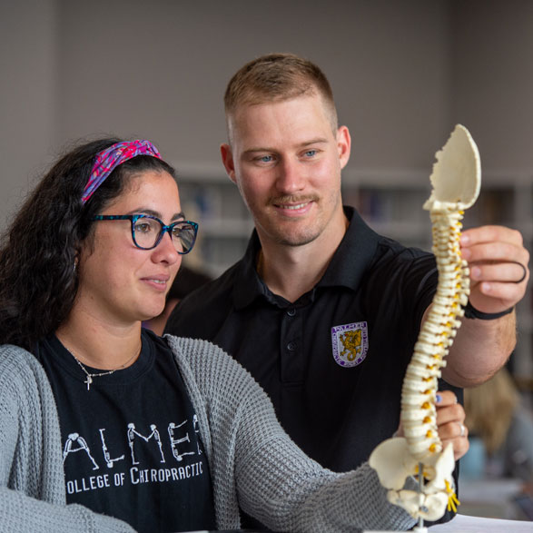 Two students observing small spine model