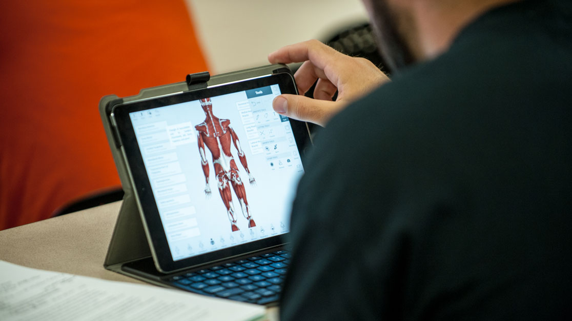 Close up of student using 3D for Medical on iPad to look up human anatomy during class.