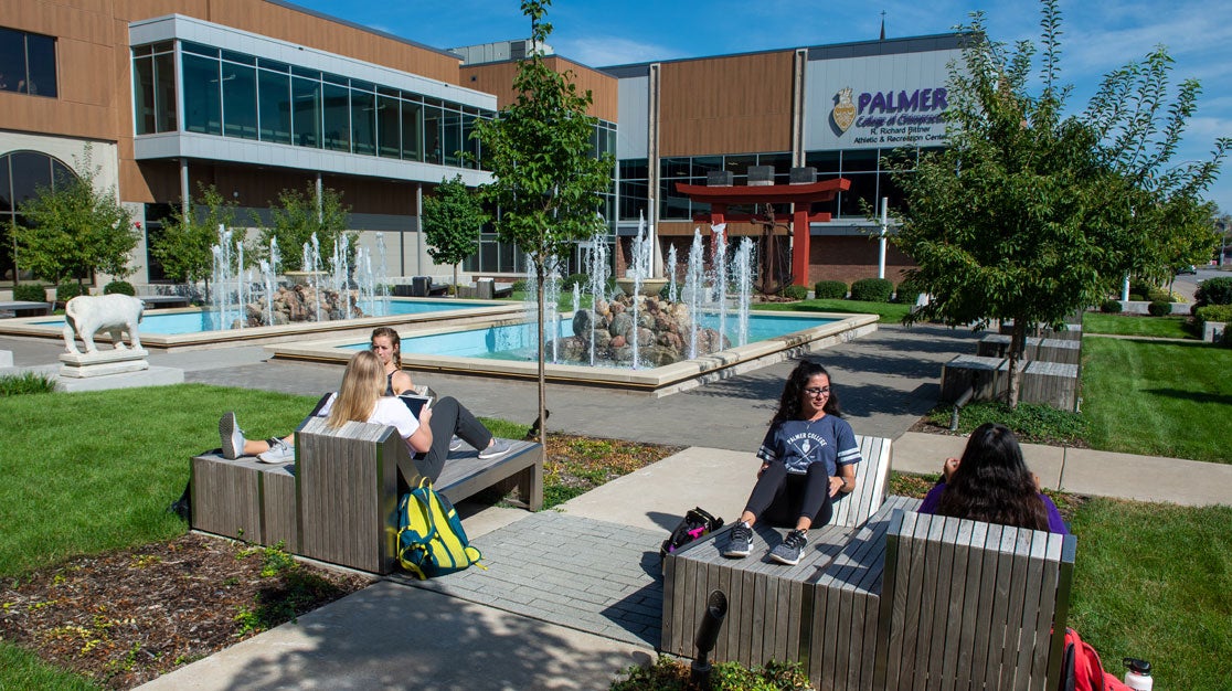 Students talking and studying in the Palmer Clinic Gardens.