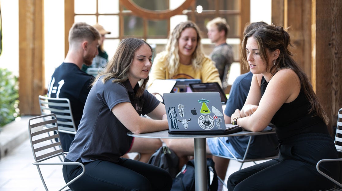 Students sitting outside and looking at laptop screen.