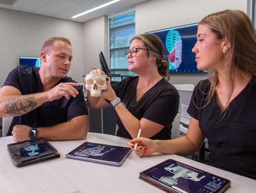 Students reviewing skull and X-rays on tablets.