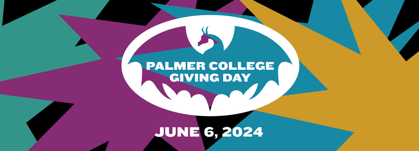 Palmer Giving Day color logo banner