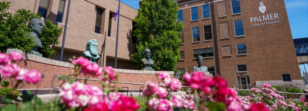 Brick wall with four busts behind pink flowers.