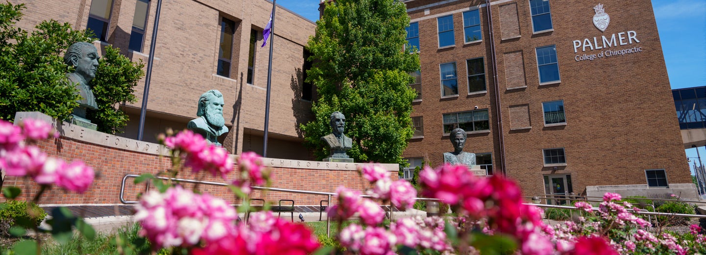 Brick wall with four busts behind pink flowers.