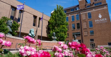 Brick wall with four busts behind pink flowers.