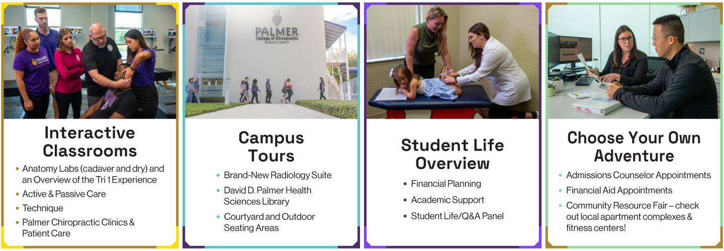 Information on Palmer Pathways. 