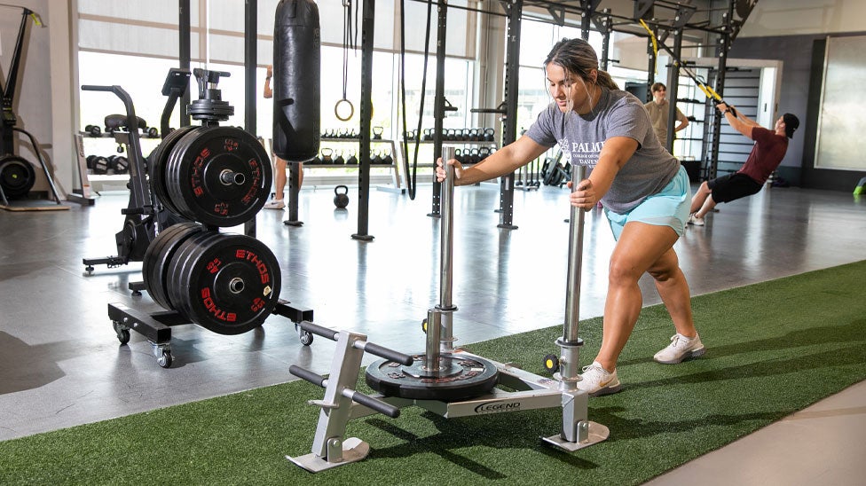 Bittner Center weight sled.