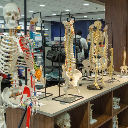 Spine models in Campus Store.