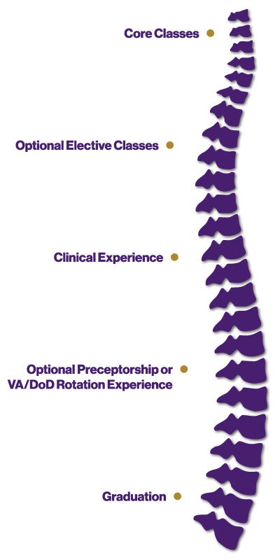 Curriculum on spine graphic.