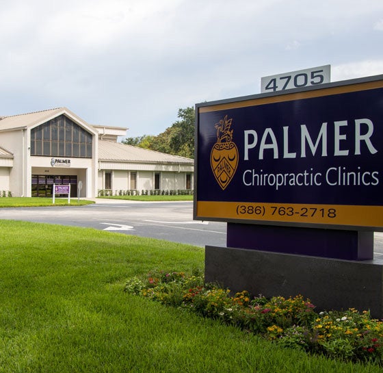 Palmer Florida Clinics.
