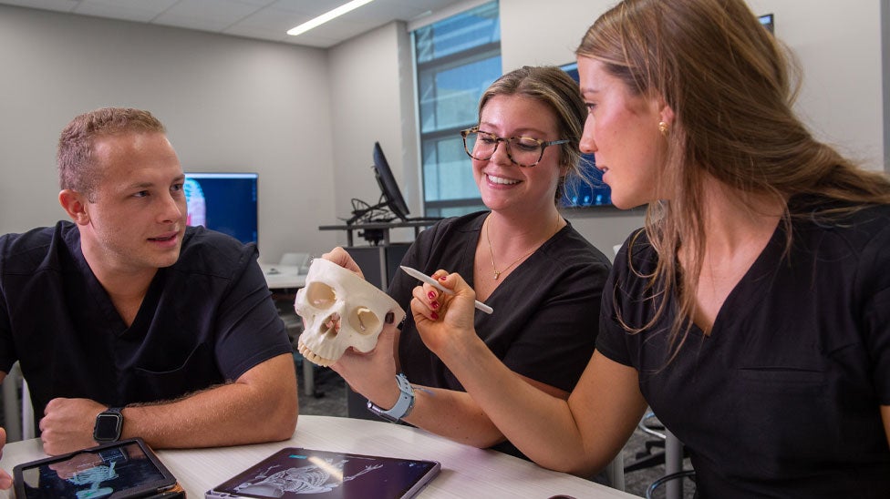 Trio of students reviewing skull model.