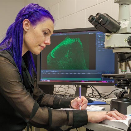 Research Honors student reviewing microscope slides.