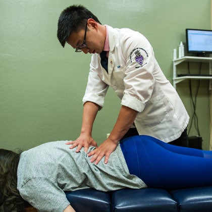 Clinician palpating patient's lower back.