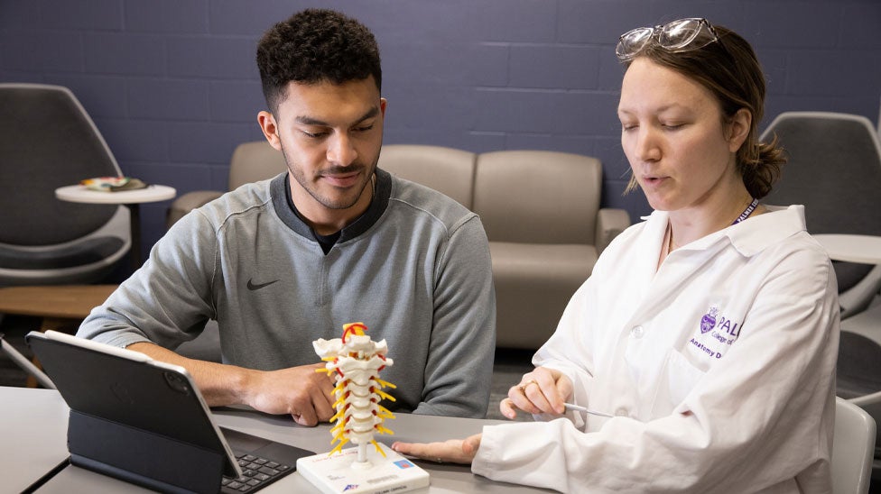 Two students reviewing spinal model.