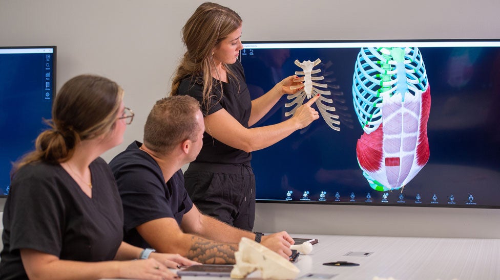 Students reviewing rib model.