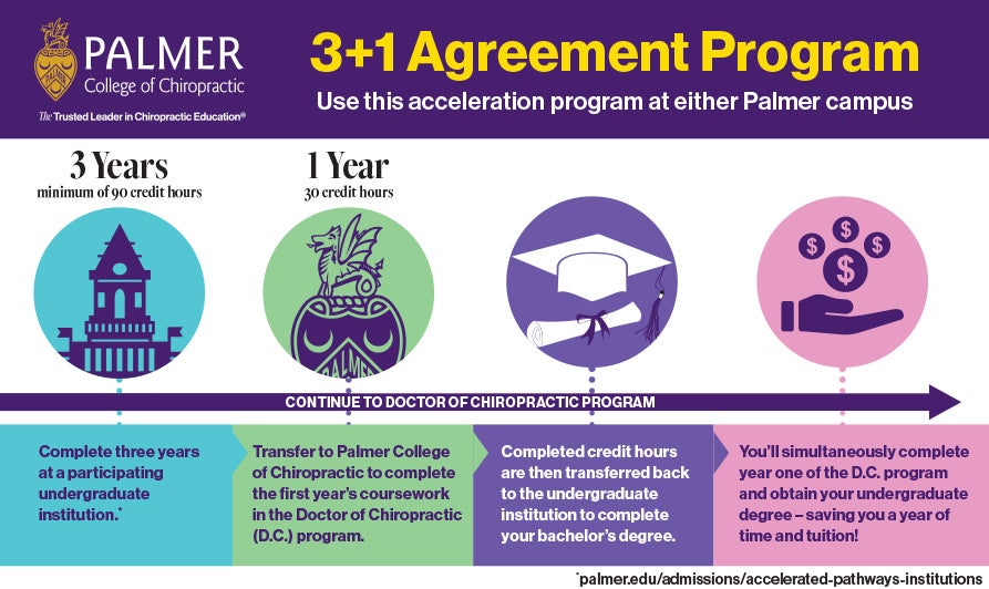 Palmer 3+1 Program stats.
